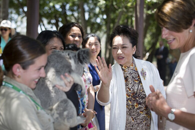 China's first lady Peng Liyuan meets a koala at Lone Pine Koala Sanctuary Brisbane