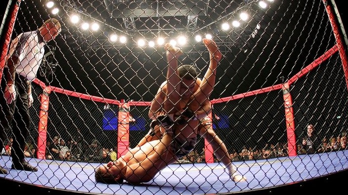 Cage fighting