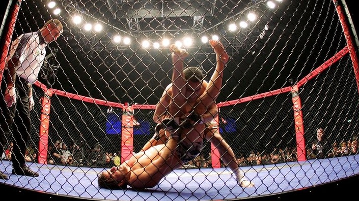 World Cage Fighting