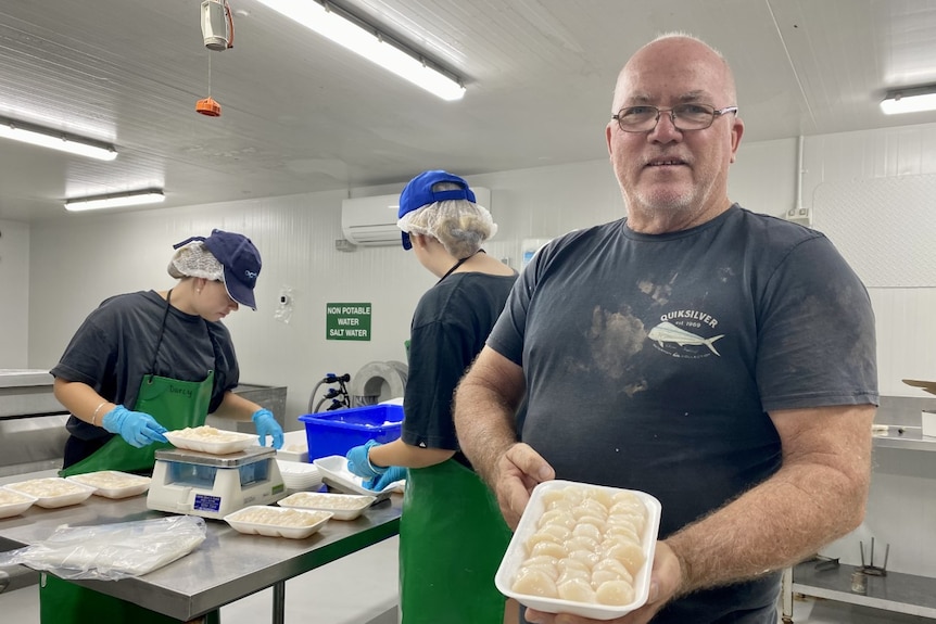 A man stands holding a tray of white scallop meat towards the camera. 