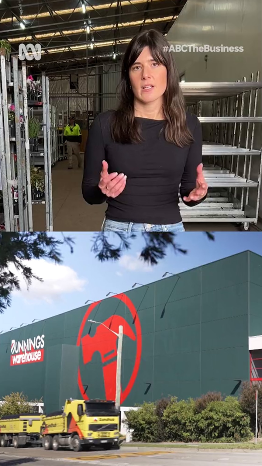 Photo composite shows a young woman and an exterior shot of a building with "Bunnings" written on its side.