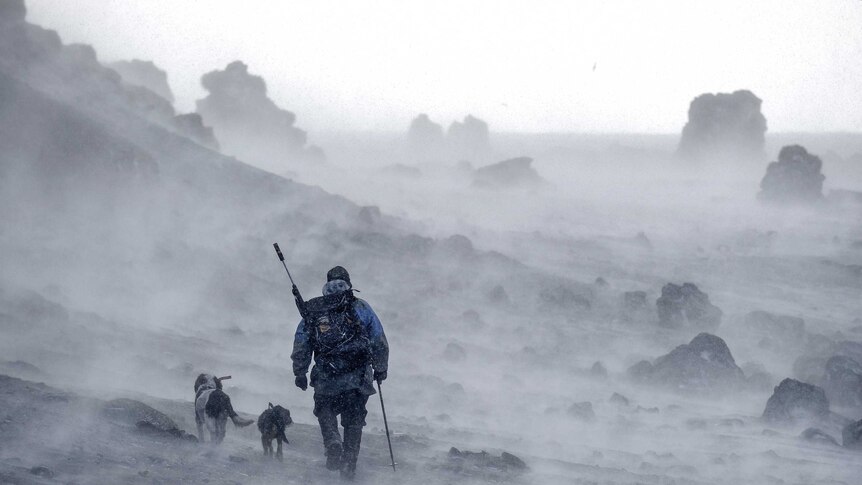 Blizzard on Macquarie Island