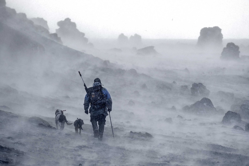 Blizzard on Macquarie Island