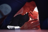 Trump is seen in profile close up with a bloodied face and hands on the ground