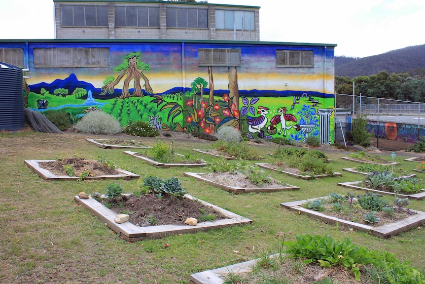 Risdon Vale Community Garden