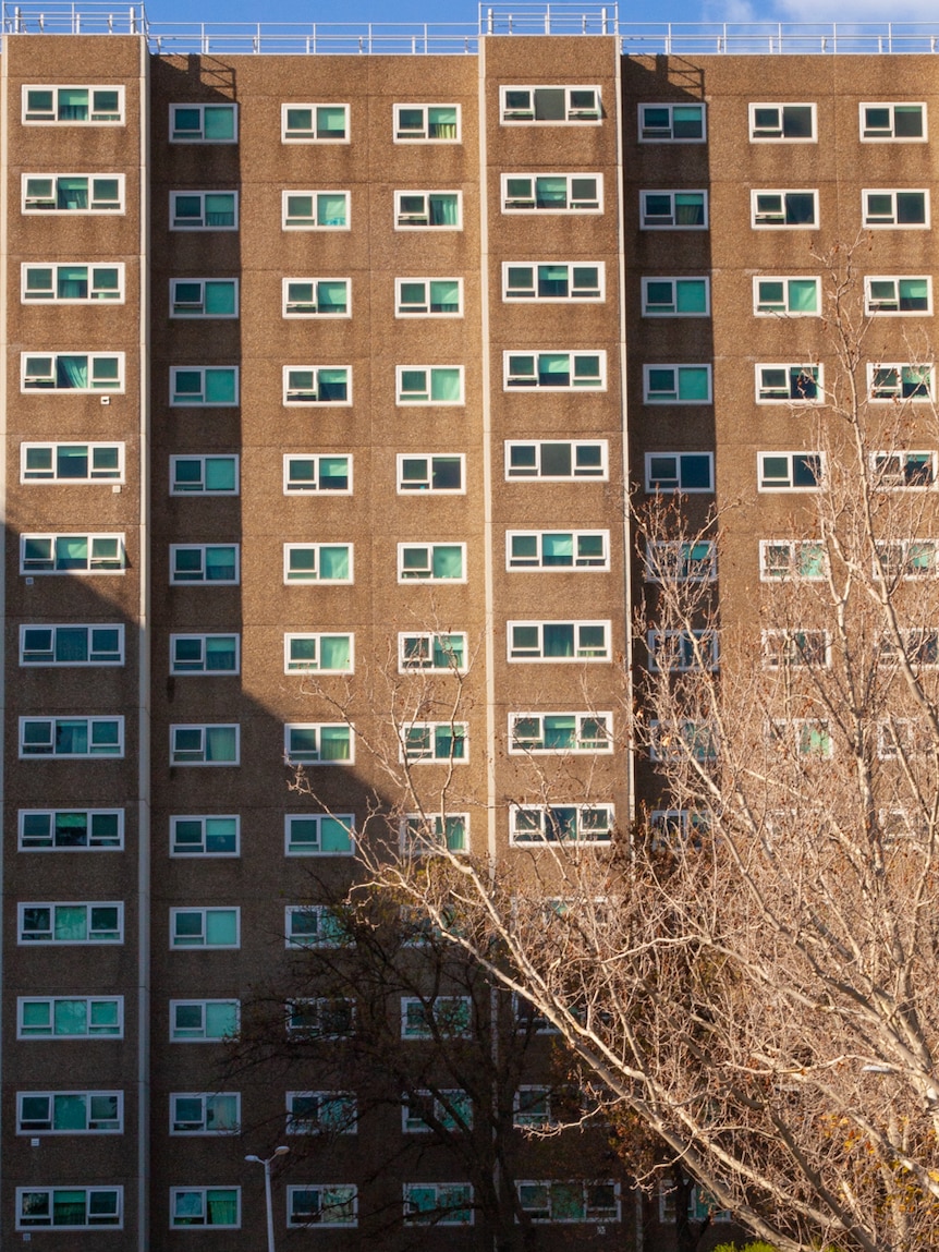 On a bright day, you see the profile of a large brown public housing tower with shadows cast over it in a diagonal direction.