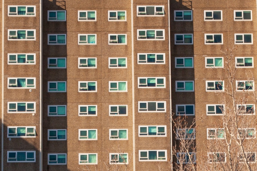 On a bright day, you see the profile of a large brown public housing tower with shadows cast over it in a diagonal direction.