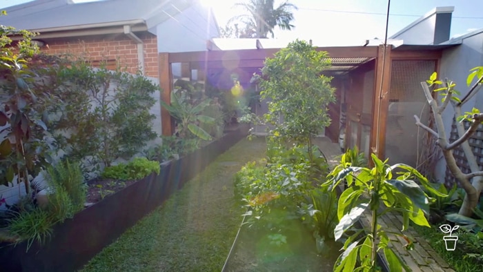 Narrow terrace garden filled with productive plants