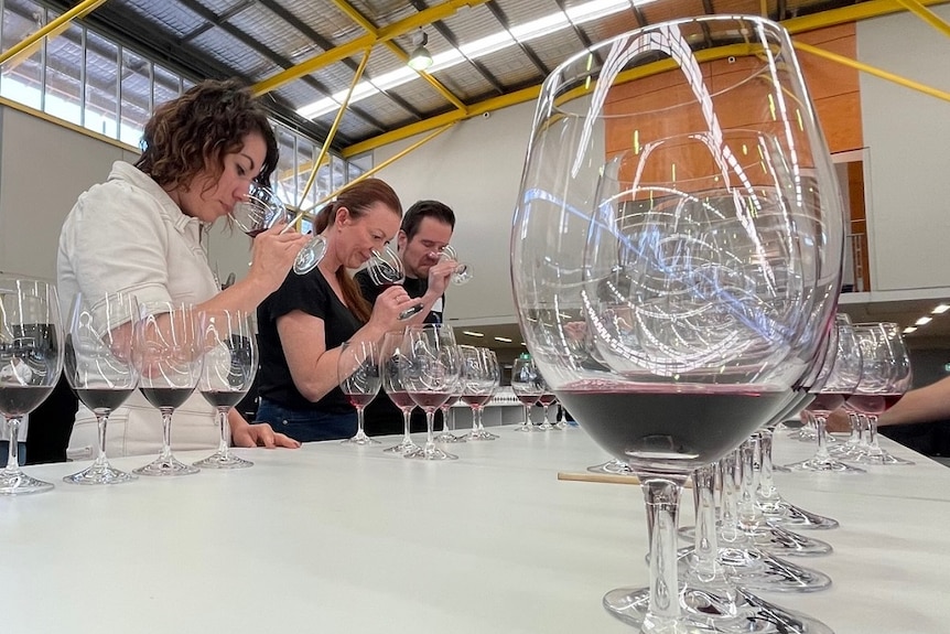 Two women and a man at a table, tasting wine.