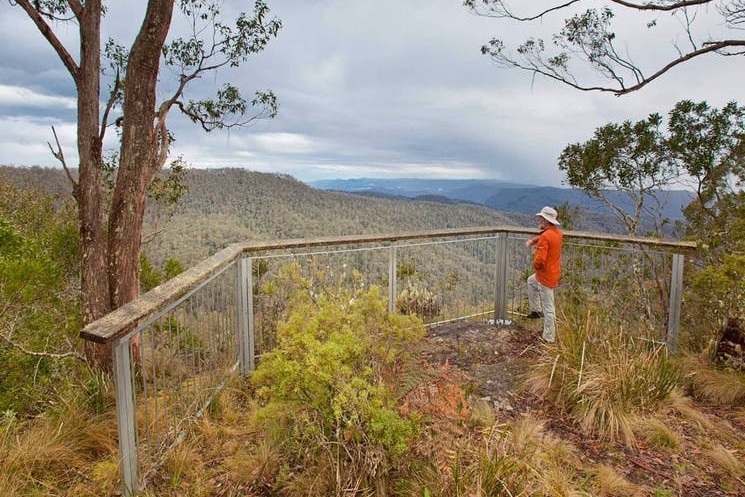 a man standing on a railing on top of a mountain looking out onto bushland