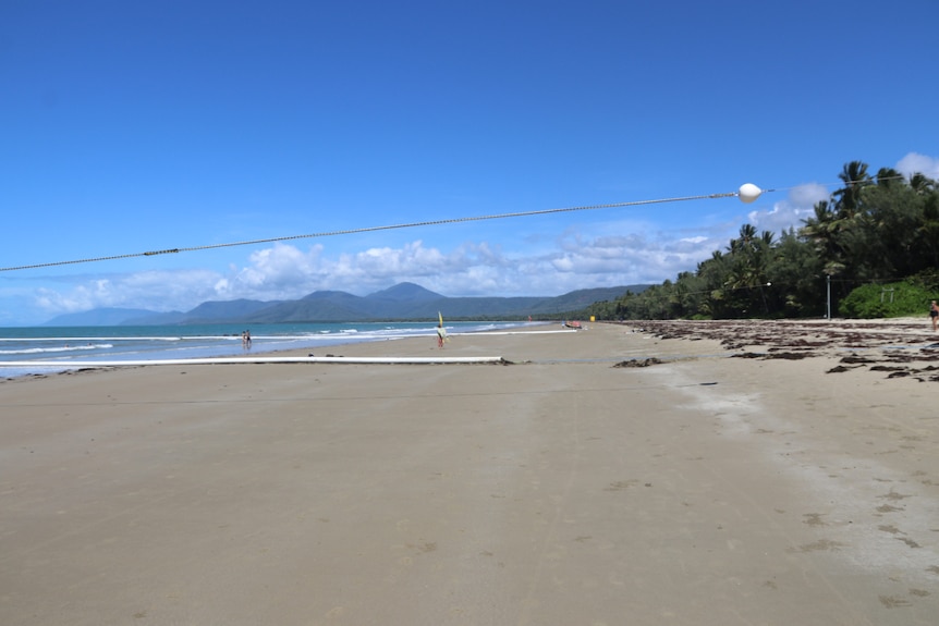 Empty Four Mile Beach at Port Douglas