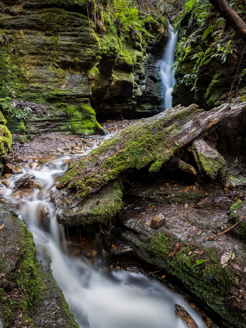 Jason Futrill's Secret Falls photo inspired others to follow.