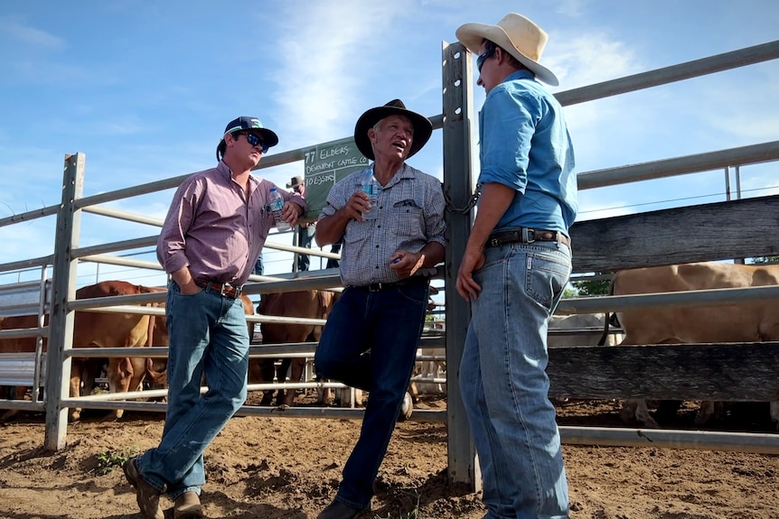 Three men lean up against fence at a saleyard smiling and chatting to eachother. 