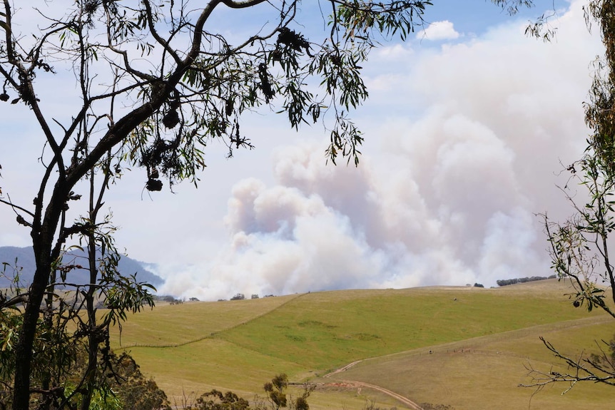 Green/yellow hills with a plume of smoke billowing over the landscape.