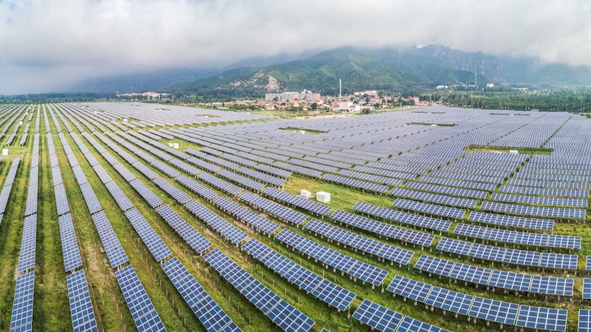 A solar farm in China where more than 50 per cent of solar investment in 2017 came from