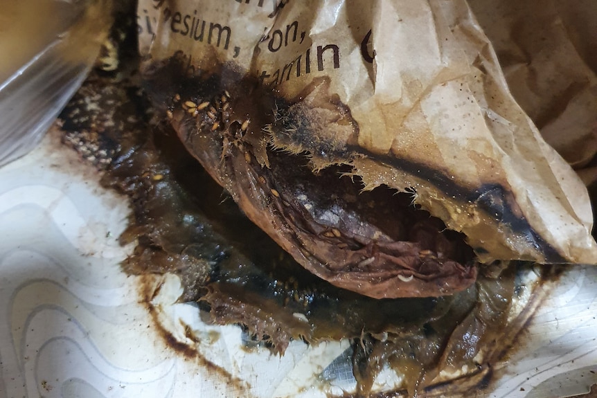 A ripped paper bag filled with rotten potatoes with maggots escaping the bag.