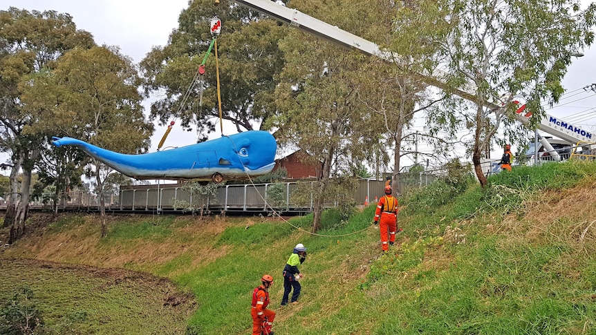 A crane lifts a large blue whale sculpture into the air, as SES volunteers watch on from the side of a grassy slope