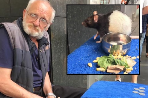 A man sitting on a crate, and inset a rat with corn, lettuce and a bowl