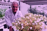 David Craik in lab coat with plants.