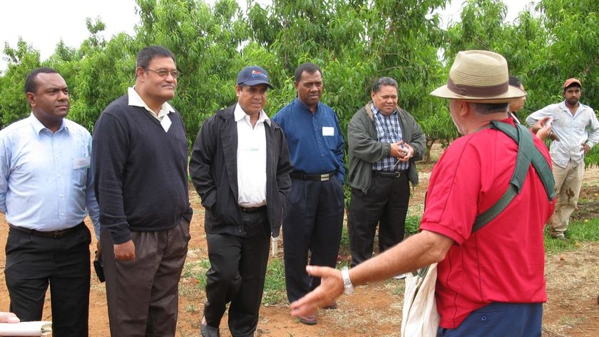 Pacific Island delegation visiting a Swan Hill Farm.