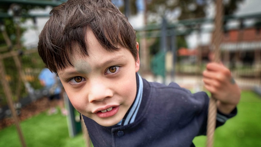 A close-up picture of a young boy with dark hair looking into the camera, with a blurred playground in the background.