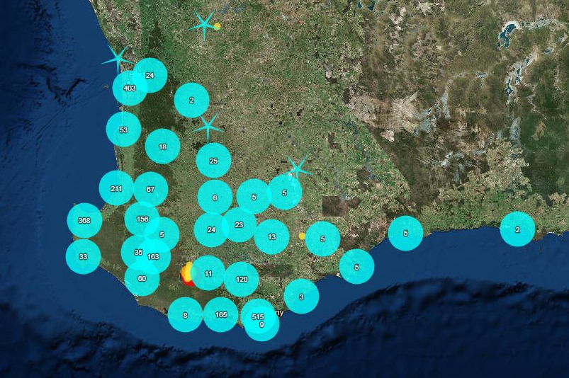 A man of south-west WA with blue dots marking where people felt an earthquake.