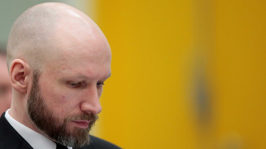 Anders Behring Breivik reacts during the appeal case