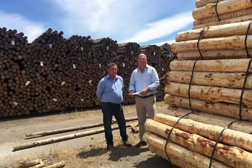 Kalangadoo mill owner Peter Badenoch and Wattle Range Mayor Peter Gandolfi