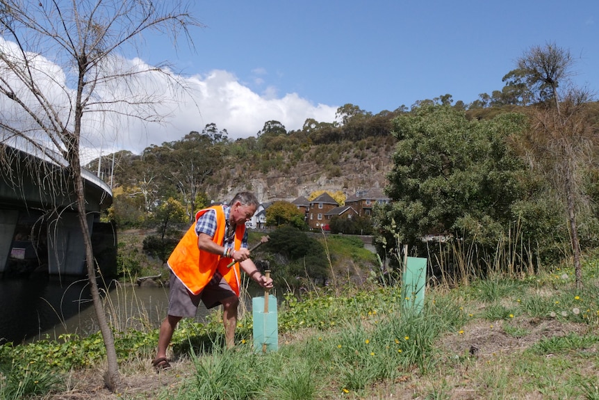 A man works by the Tamar River in Launceston