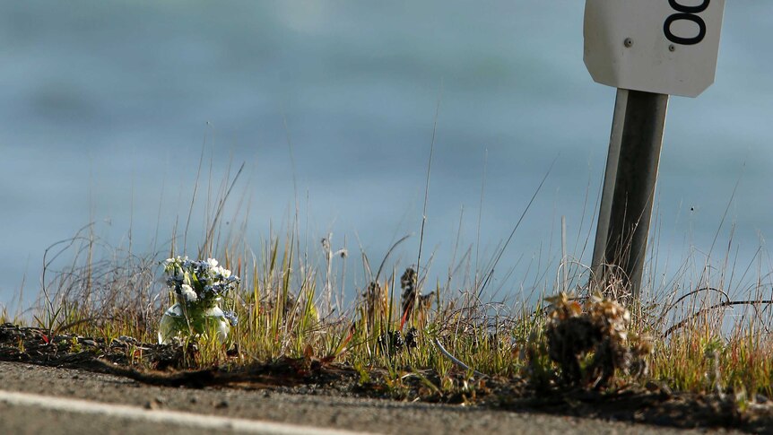 A small vase of flowers sits beside a mile marker on a coastal highway.