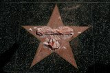 Trump star on Hollywood Walk of Fame