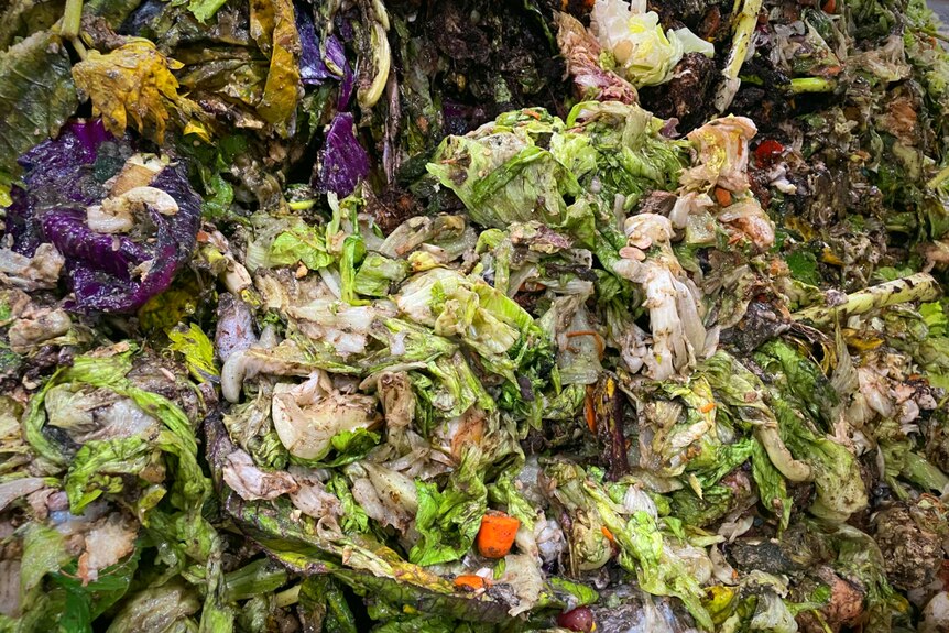 A pile of green organic food waste starting to rot.