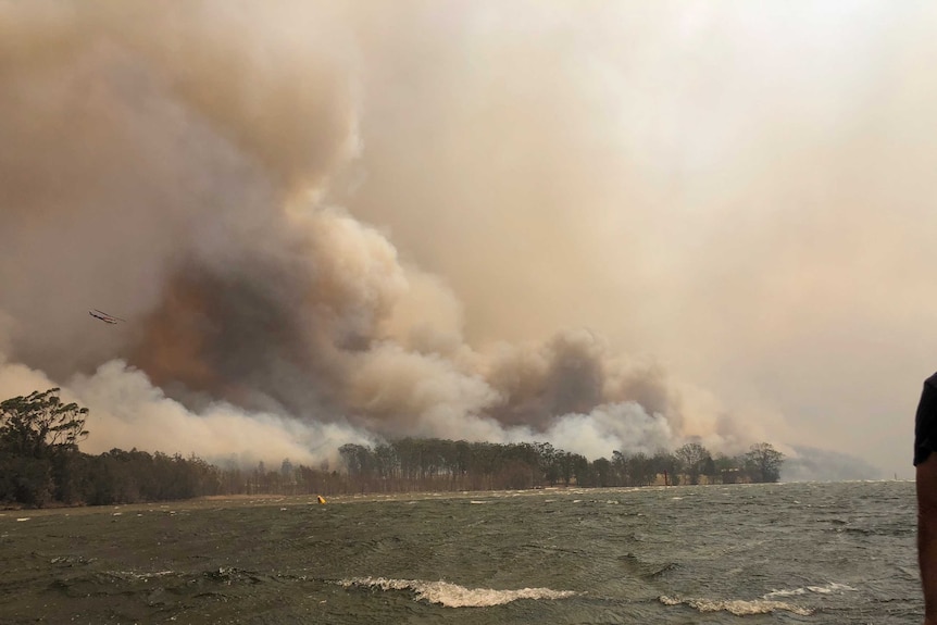 A large cloud of smoke coming from a bush is seen from a boat in water