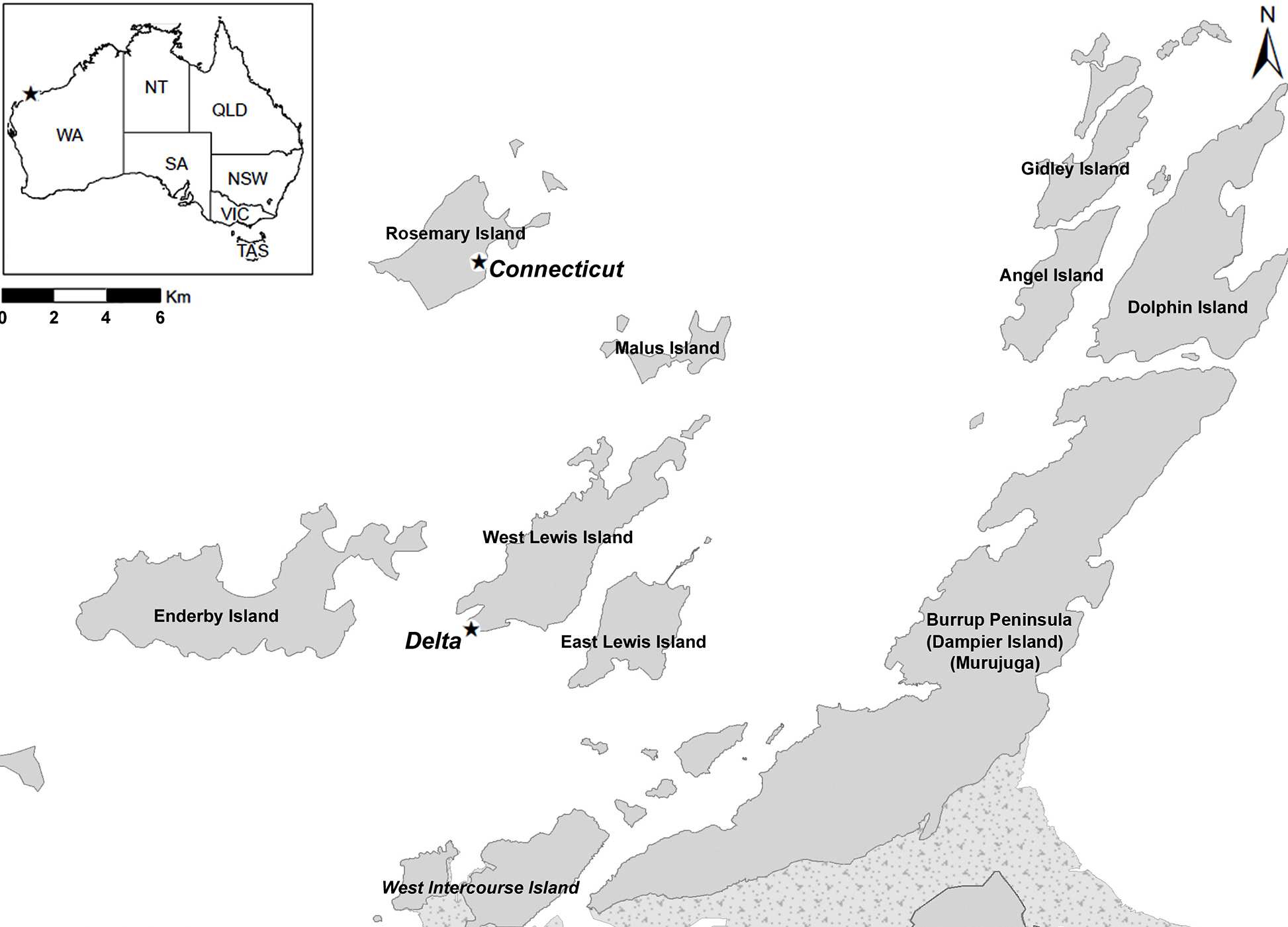 Rock carvings made by American whalers discovered on north Australian