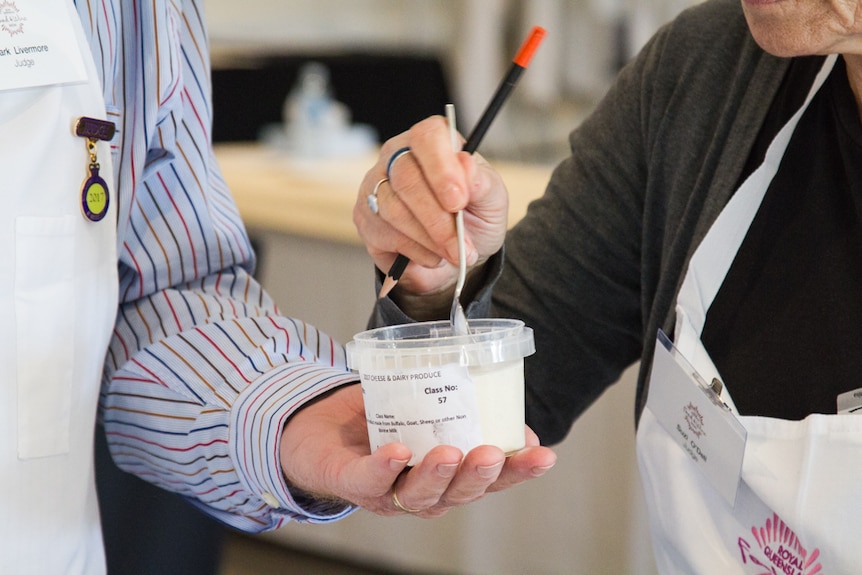 Judges hold the panna cotta for tasting.