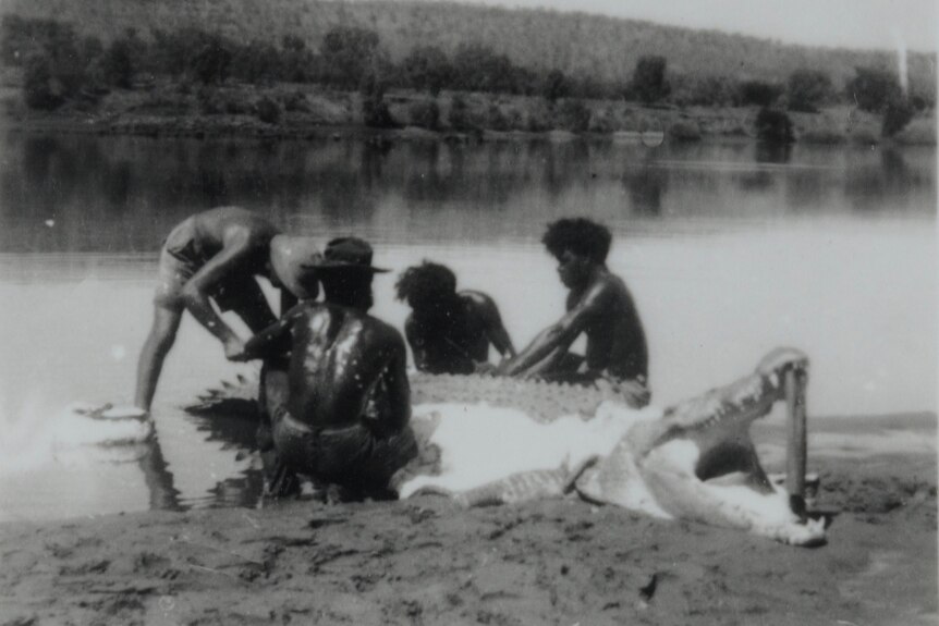 A black and white photo of four shirtless men with a crocodile on a sandbank.