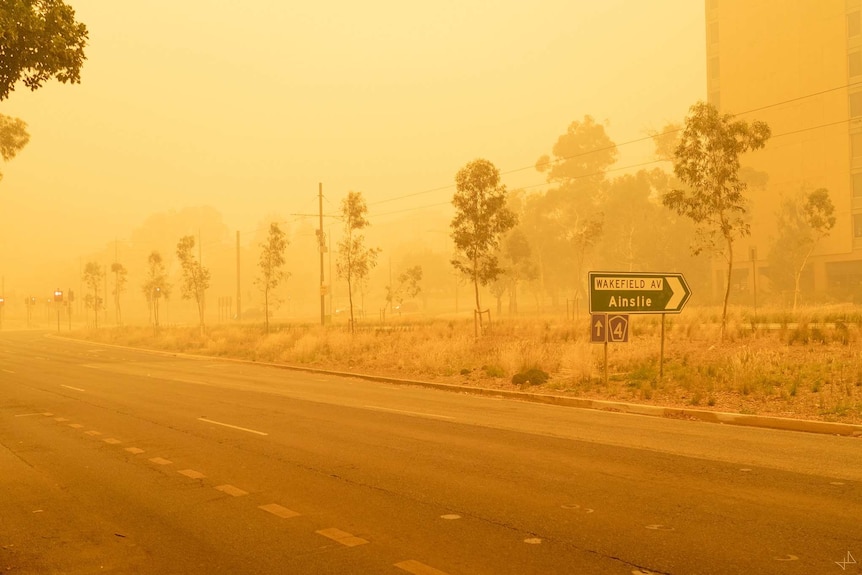 A street bathed in smoky orange light.