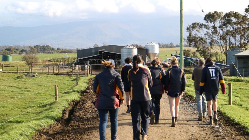 students walk along a road on a dairy farm