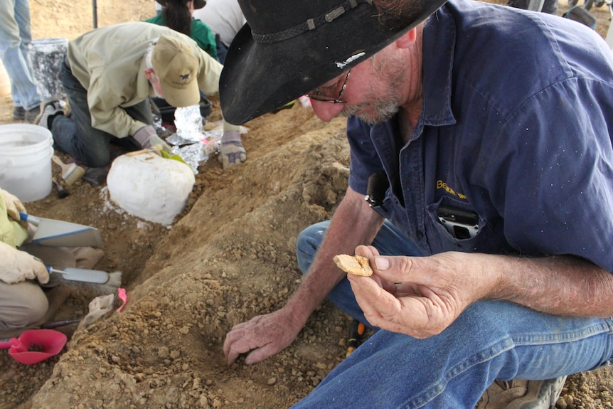 Man in hat and blue shirt and jeans holding up a small bone while looking at the ground.