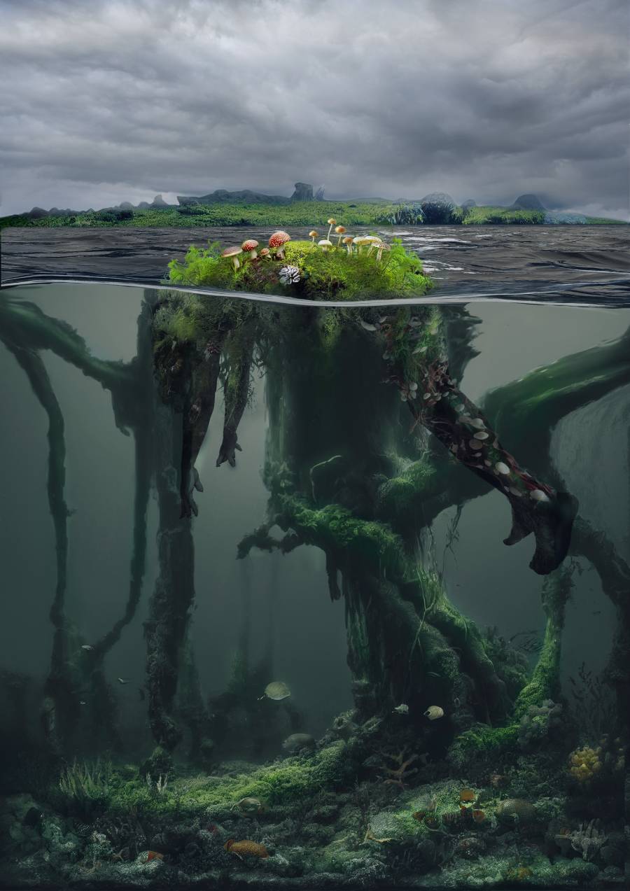A digital artwork of a man floating face down in water with mushrooms and moss growing on his back