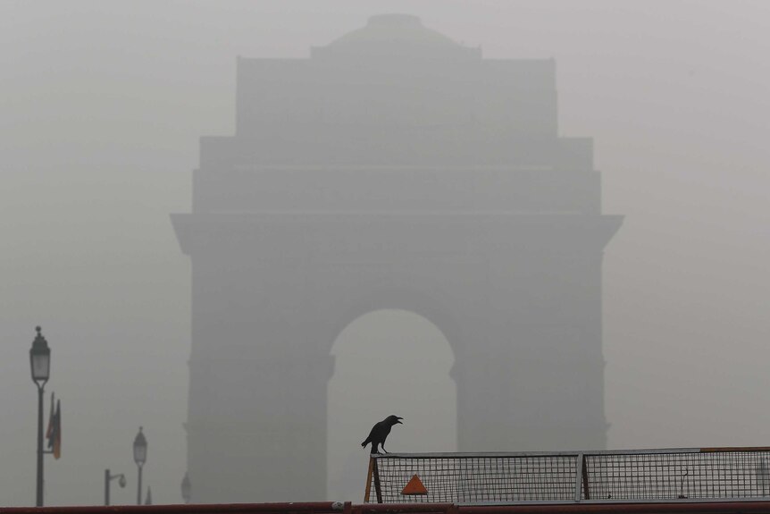 The silhouette of New Dehli's India Gate is obscured by smog as a crow sits on a barricade in the foreground.