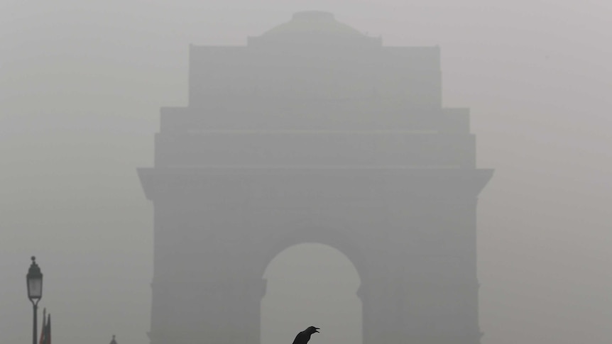 The silhouette of New Dehli's India Gate is obscured by smog as a crow sits on a barricade in the foreground.