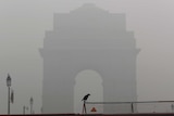 The silhouette of New Dehli's India Gate is obscured by smog as a crow sits on a barricade in the foreground.
