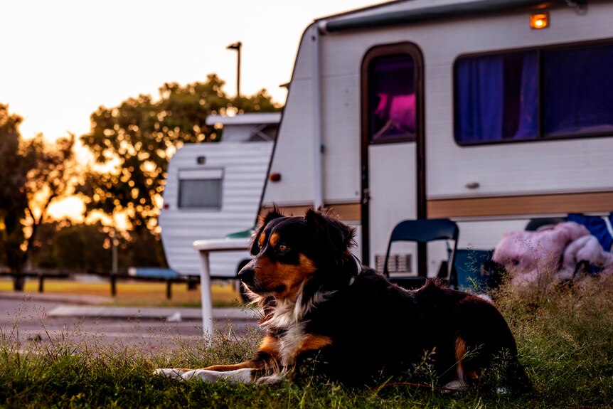 A dog lays by a caravan as the sun sets.