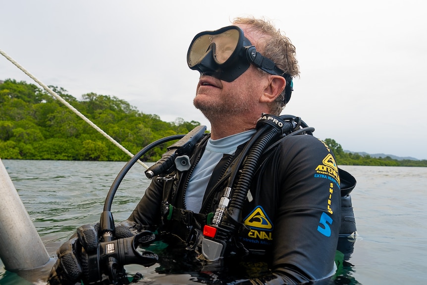Andrew Twiggy Forrest descends into the ocean wearing scuba diving gear.
