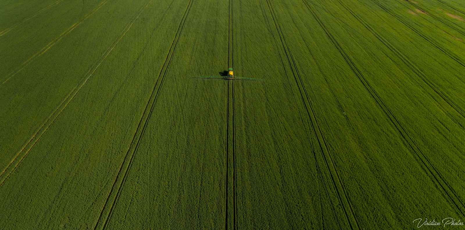 aerial view of green paddock