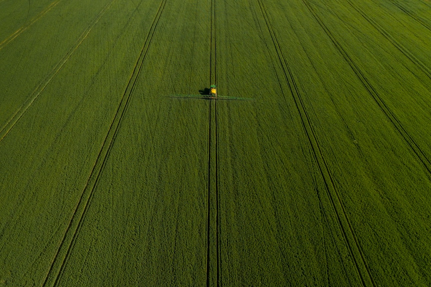 Aerial view of green paddock, under irrigation.