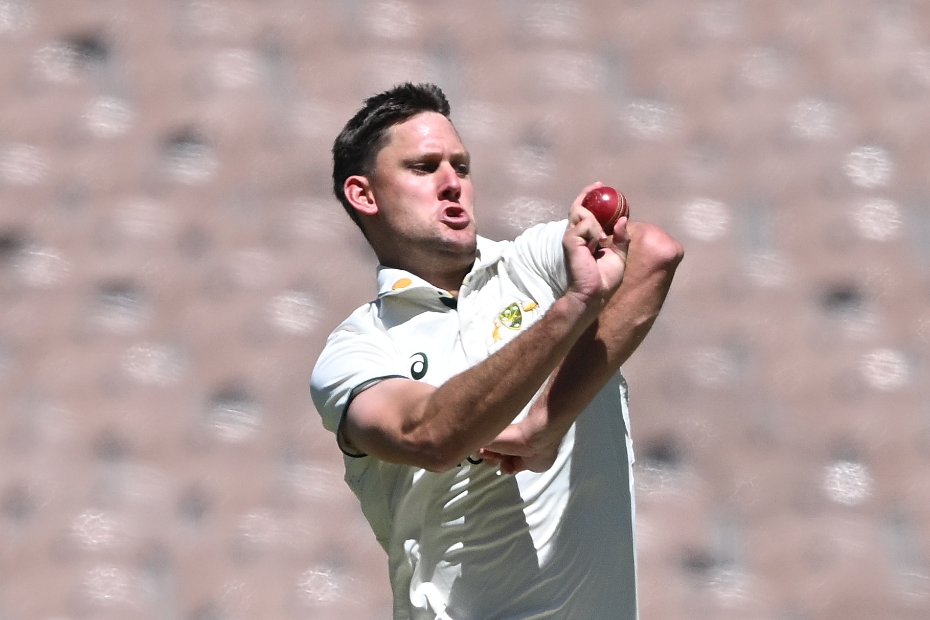 Beau Webster emerges as Test contender for Australia against India ABC News