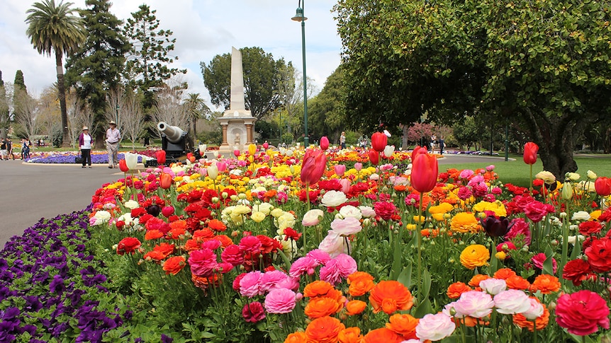 Flower beds in Queens Park