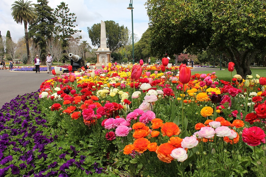 Flower beds in Queens Park